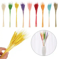 Colorful Natural Material Wedding Decor Home Decoration Plant Stems Dried Flowers Bouquets Wheat Ear Grass Real Flower