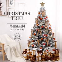 聖誕樹 白色聖誕樹家用套餐1.5/1.8/2.1/3米4加密植絨落雪聖誕節場景裝飾 米家