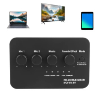 Portable Karaoke Microphone Mixer AUX IN/OUT BT Connection Dual Mic Inputs Compact Karaoke Audio Mixer for KTV Amplifier Speaker