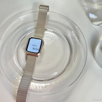 流光銀不銹鋼磁吸 Apple Watch錶帶 ｜5色｜Apple Watch 不銹鋼錶帶