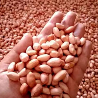 Kacang Tanah Kupas Mentah 1 kg