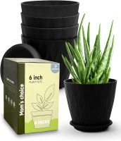 6 Inch Indoor Planter Pots with Drainage Hole and Tray SaucerFlower Pots for Indoor Outdoor Garden P