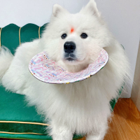 公司貨 最低价 免運 寵物狗狗口水巾中大型犬薩摩耶阿拉斯加口水兜夏季防口水圍巾圍脖
