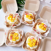 50 Hộp Bento Bã mía đựng Bánh kem, Hộp cắm Hoa, Hộp làm Hoa Kẻm nhung