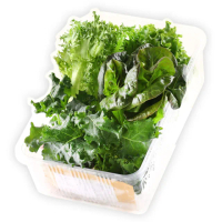 【會呼吸的菜】台灣綜合水耕鮮菜150g±5%x6盒+贈沙拉醬6包