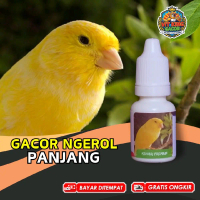 Vitamin Burung Kenari Gacor