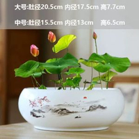 陶瓷銅錢草水培睡蓮一葉蓮碗蓮金錢草水養專用盆缸無孔大