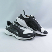 NIKE FQ1356002 AIR ZM PEGASUS 41 GTX 男 跑鞋 防潑水 黑×白【iSport愛運動】