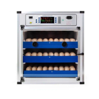 【暖福寶】110V孵化機全自動孵蛋機孵化箱蘆丁雞鴨蛋鵝蛋(204枚雙電)