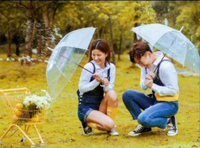 新款精美透明雨傘晴雨傘美女傘長柄傘透明傘攝影道具透明傘