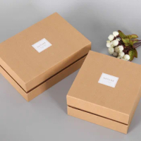 custom paper sock packaging for wholesale,kraft glossy foil paperboard packaging box ---C1110