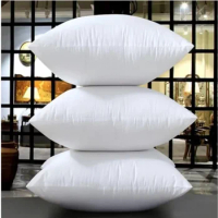 Decor Sofa Office Living Room Cojines 45x45 Pillow Core Decoration Christmas 2023 Gift Home Decoration Cushion Insert SG0004