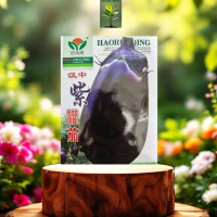 benih biji terong ungu lonjong jumbo +-2 gram