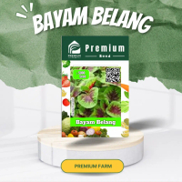 Benih BAYAM BELANG PremiumFarm Bayam Loreng