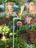 自動灑水機 自動澆花器家用滴灌滴水器花園灌溉噴淋系統定時智慧澆 免運 雙十一購物節