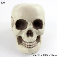 HW23 Ornamen Kepala Tengkorak Skull Skeleton Plastik Hiasan Dekorasi Mainan Prank Toy Hiasan Hallowe