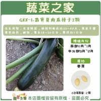【蔬菜之家】G88-1.翡寶夏南瓜種子(綠櫛瓜.節瓜.嫩南瓜.美國南瓜) (共有2種包裝可選)