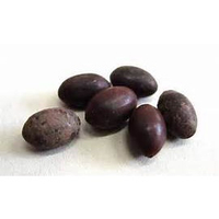 教學用蓮花種子100顆100元,荷花種子(不具發芽能力)