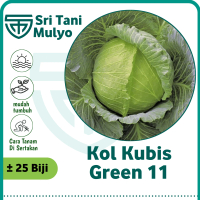 25 biji - Benih Sayur Sayuran Kol/Kubis Kolbis (Mudah Tumbuh) bibit / benih sayur