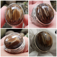 Batu akik fosil aren batu fosil batu cicin batu koleksi