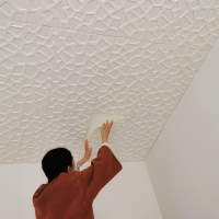 天花板貼紙3d立體自粘墻貼房頂客廳吊頂屋頂防水壁紙頂棚裝飾防潮