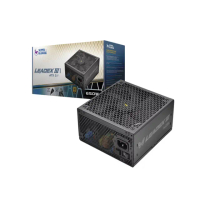 【SUPERFLOWER 振華】LEADEX III ATX3.1 Gold 650W(ATX3.1/PCI5.0/650瓦/金牌全模/10年保固)