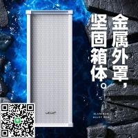 先科音柱音響店鋪專用掛墻防水戶外喇叭有源音箱壁掛商用