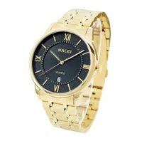 Jam Tangan Wanita Halei HI2493 Include Garansi Mesin 12 Bulan Tali Rantai Stainless Stell Kaca Safir