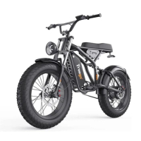 Fat Tire Electric Bike for Adults, E-bike, Electric Dirt Bike, Urban Commuter, 20 in, 1200W, 48V, 20Ah Battery