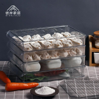 速凍餃子收納盒家用大容量多層冷凍冰箱托盤保鮮裝水餃專用的抄手