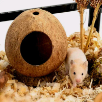 kandang hamster,bajing,tupai, dari bahan tempurung kelapa