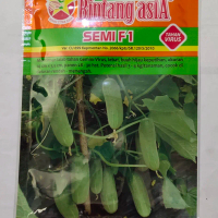 Benih baby timun SEMI F1 20 gram ketimun mini bintang asia