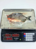 Ikan Bawal 1 Kg