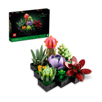 LEGO 樂高 Icons 10309 多肉植物(盆栽 植物 居家擺設 DIY 禮物)