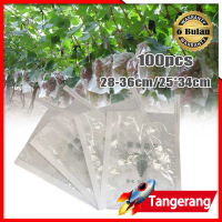 100pcs Pembungkus Buah Brongsong Buah Fruit Cover Bag Di Pohon Buah