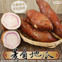 【WANG 蔬果】牛奶菱角地瓜10斤x1箱(農民直配)
