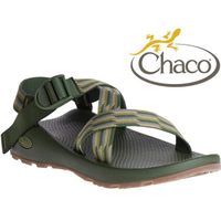 Chaco 涼鞋/越野運動涼鞋/水陸鞋/綁帶涼鞋-標準款 男 美國佳扣 CH-ZCM01 HE12 手風琴綠