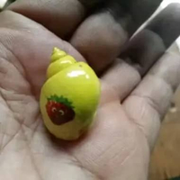 Mainan 1 kelomang/ umang umang warna warni lucu