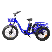 2023 750W Three Wheel Cargo Electric Bike Adult Electric Trike 3 Wheel Electric Tricycle with Cheap Price MF-602