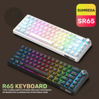 SUMREDA SR65 Mini Gaming Mechanical Keyboard 67Keys TYPE-C Wired Gamer Keyboard RGB Backlit Hotswap Game Non-contact keyboard