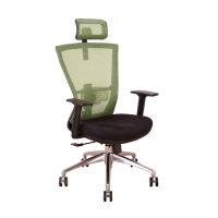 DFhouse 帕塞克電腦辦公椅(全配)(鋁合金腳)(綠色)