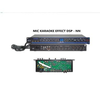 PROFESSIONAL POWER SYSTEM MIC KARAOKE EFFECT / MICROPHONE DSP - NN