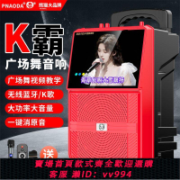 {公司貨 最低價}熊貓廣場舞音響帶顯示屏戶外家用K歌話筒手提藍牙視頻音箱大音量
