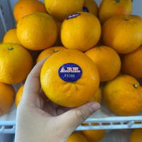 Jeruk Wogan 500gr - Buah Segar