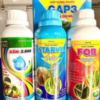 GAP3 THỨ GÌ CHỊU NỔI và KẼM 2000