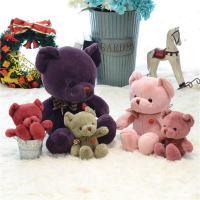 小號娃娃毛絨公仔網紅泰迪熊紫色綠粉色frj小熊玩偶女孩玩具