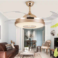 Ceiling Fan Lights Remote Control 42inch Dining Room Bedroom Living Fan Lamps Ceiling Fan Lightings Luminaria Pendente Home