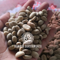 biji buah kopi arabika ateng super untuk semai isi 500 gram berkualitas