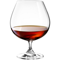 《TESCOMA》勃根地水晶紅酒杯(700ml) | 調酒杯 雞尾酒杯 白酒杯