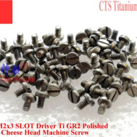 DIN 84 M2 Titanium screw M2x3 M2x4 M2X5 M2x6 M2x7 M2x8 M2x10 M2x12 M2x14 M2x16 M2x18 M2x20 Cheese Head Slot Driver Ti GR2 QCTI